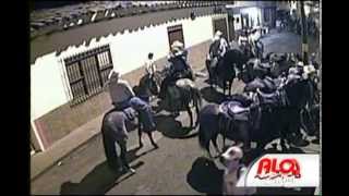 MALTRATO ANIMAL, CABALGATA  EN  BUGA 2014.