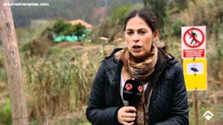 Detenido por explotación laboral a ciudadanos asiáticos