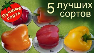 Лучшие Сорта Перца Сладкого