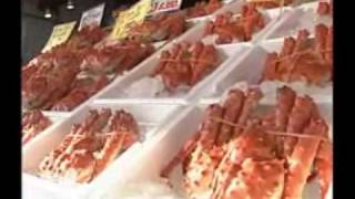 【クラブツーリズム】＜北海道・札幌市中央卸市場＞紹介動画