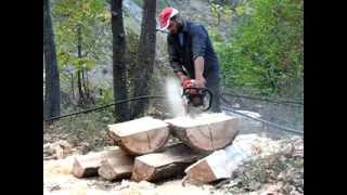 σκισιμο ξυλων με stihl 066!!!