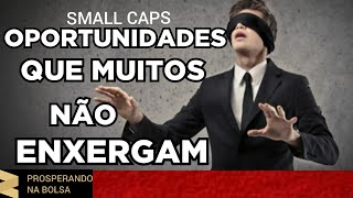 ? SMALL CAPS Oportunidade Que Muitos Não Enxergam