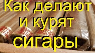 ?Как делают и курят СИГАРЫ, ликбез для начинающих. От канала Самогонщиков.