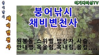 붕어낚시 채비변천사 원봉돌 스위벨 사슬 방랑자 안내병 옥내림 옥올림 올킬...