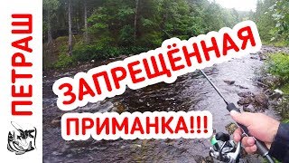 Рыбалка в ДИКИХ МЕСТАХ! Давно я так не кайфовал! День третий