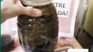 Jarabe de estevia natural con Intevia
