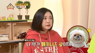 문제아들 개상(?) 진단해주는 개통령 [옥탑방의 문제아들/Problem Child in House] 20200203