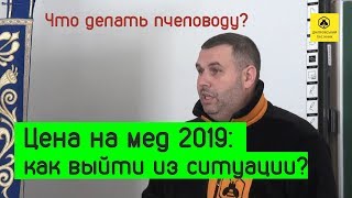 Цена на мед оптом 2019: Что предлагают экспортеры? Как поступить пчеловоду?