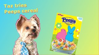 Taz tries Peeps Cereal