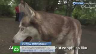 Европейские зоофилы извращенцы устремились в гости к лояльным датчанам