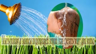 Мыть голову и волосы подходящей водой