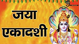 5 फरवरी को है मनोकामना पूरी करने वाली एकादशी, जाने क्या है शुभ मुहर्त | Jaya Ekadashi