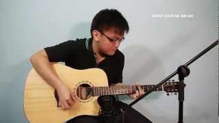 Dove Guitar DD-22C