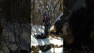Утренний кофе в зимнем лесу #shorts