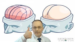 Scientists Discover a Second Brain in your Butt!