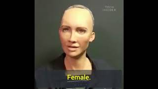 Робот София не будет убивать людей. Интервью на русском