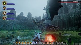 PC Dragon Age Inquisition: Vinsomer