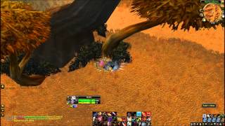 (HD) WoW *How to get a rare Companion*