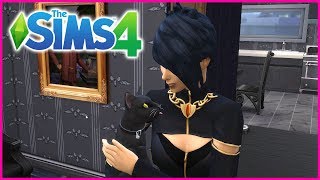 We Got a New Cat!