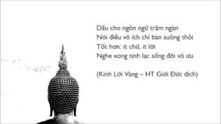Bất như ý mới chính là bản chất thật của đời sống - HT. Viên Minh giảng