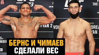 ПОКАЗАЛИ ОДИНАКОВЫЙ ВЕС! Взвешивание Хамзат Чимаев - Гилберт Бернс перед боем на UFC 273
