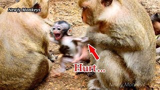 So hurt.. | Daniela scream loudly cos angry Dolly did wrong | Dolly pulled baby Daniela out of mom