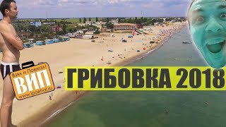 Грибовка 2018, Одесская область. Море, пляжи, вода, цены и базы отдыха