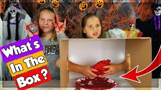 WHAT'S IN THE BOX CHALLENGE !!! en français