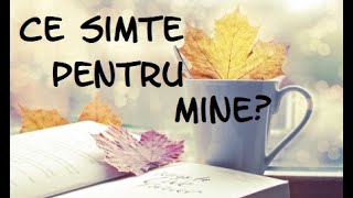 Tarot | Alege o carte | "Ce simte pentru mine ?" | Partea 1