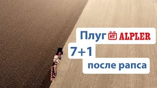 Плуг ALPLER 7+1 (Альплер) в работе. Украина, Полтава 2019 год