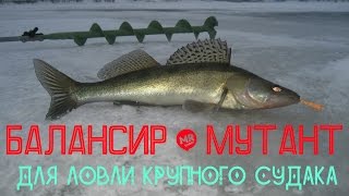 Балансир на  крупного судака своими руками