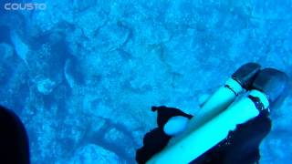 SPEARFISHING! ПОДВОДНАЯ ОХОТА В ОКЕАНЕ!