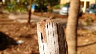 Vivo Xshot camera sample 4K @ 25fps
