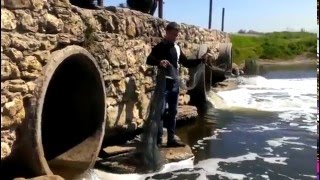 Кастинговая сеть Накидная сеть в Казахстане