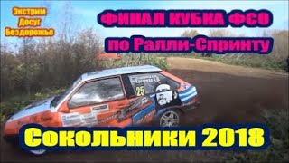 Соревнования по Ралли-Спринту на кубок ФСО ФИНАЛ Россия 2018 Сокольники! 13 октября
