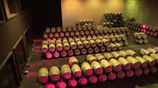 Tour pela Bodega Torres