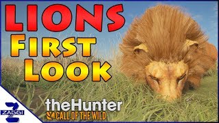 First Look LIONS TheHunter Call of the Wild