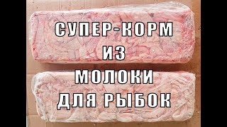 Корм для рыбок своими руками