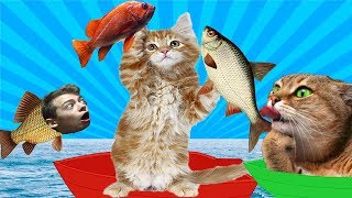 КОТЕНОК РЫБОЛОВ симулятор кошачьей рыбалки видео про маленького котенка  GAMES FACTO