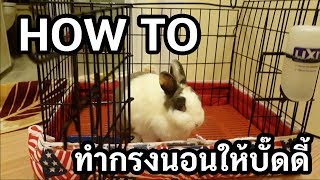 how to : ที่นอนกระต่าย ทำกรงกระต่ายไซต์มินิให้เป็นที่นอน