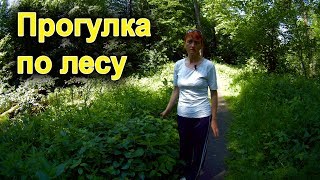 Гуляем по лесу на озеро