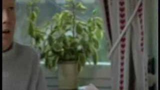 Kvarteret Skatan - Så träffades Magnus och Frida