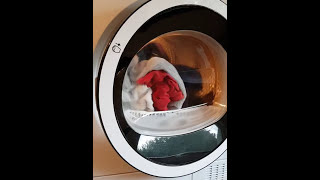Beko DH8534GX0 8kg Wärmepumpentrockner Tür Klappe springt auf Türproblem
