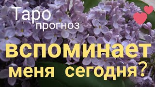 Таро прогноз ВСПОМИНИАЕТ МЕНЯ СЕГОДНЯ? ЧТО ОН ХОЧЕТ? Онлайн гадание на картах Таро asmr видео Hygge