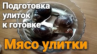 Заготовка улиток для приготовления. Улитководам не смотреть!