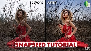 Make the Portraits Pop in Snapseed | Android | iPhone