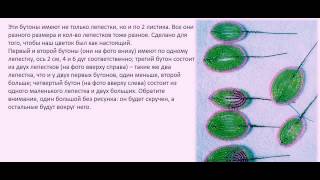 Бисероплетение Гладиолус из бисера мастер класс видео урок