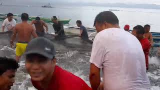 WATCH: Sandamakmak na tulingan muling tumambad sa mga taga-Sawang