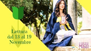 Lettura carte dal 13 al 19 novembre: Sapere è potere