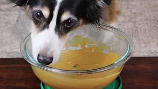 ASMR Dog Licking Peanut Butter